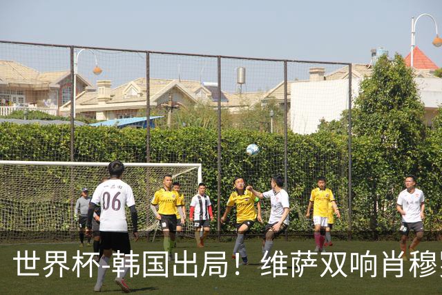世界杯-韩国出局！维萨双响肖穆罗多夫神仙球 民主刚果3-1乌兹