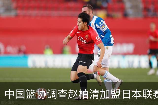 中国篮协调查赵柏清加盟日本联赛事宜 提前官宣仍在同曦合同期内