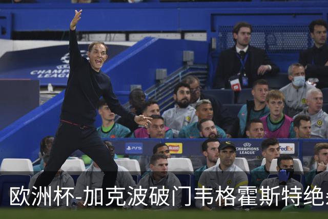 欧洲杯-加克波破门韦格霍斯特绝杀 荷兰2-1波兰