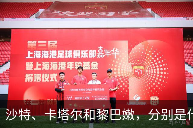 沙特、卡塔尔和黎巴嫩，分别是什么水平？