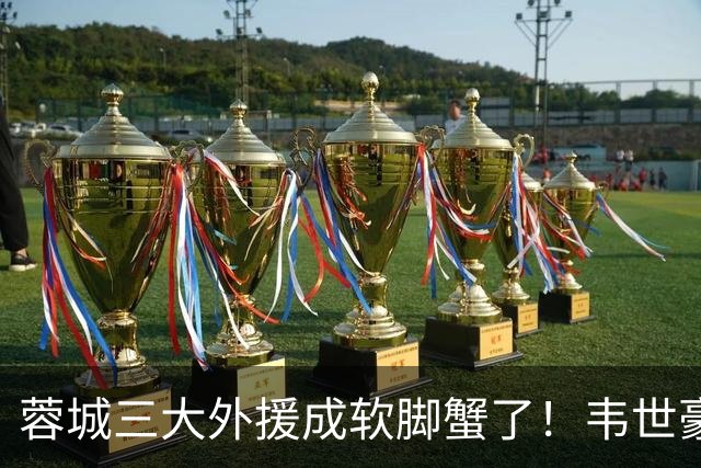 蓉城三大外援成软脚蟹了！韦世豪情绪管理太差了，球迷：约翰冒充职业教练