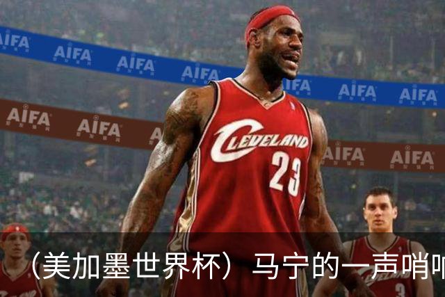 （美加墨世界杯）马宁的一声哨响，中国足球的另一种抵达