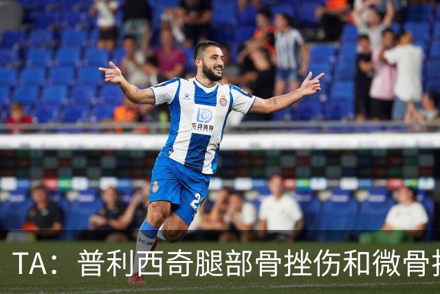 TA：普利西奇腿部骨挫伤和微骨折伤缺数周，预计8月份回归米兰
